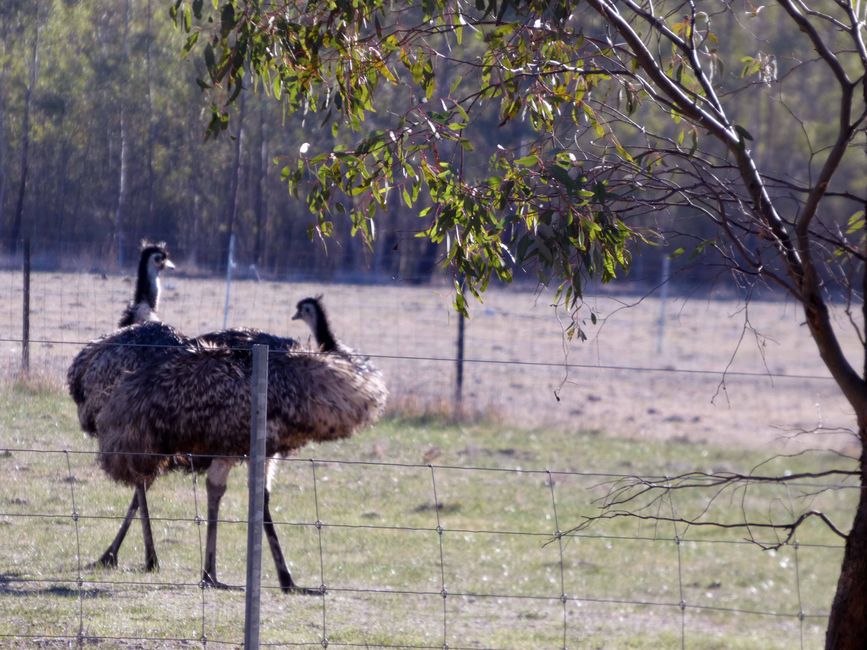Halls Gap - Grampians-Nationalpark