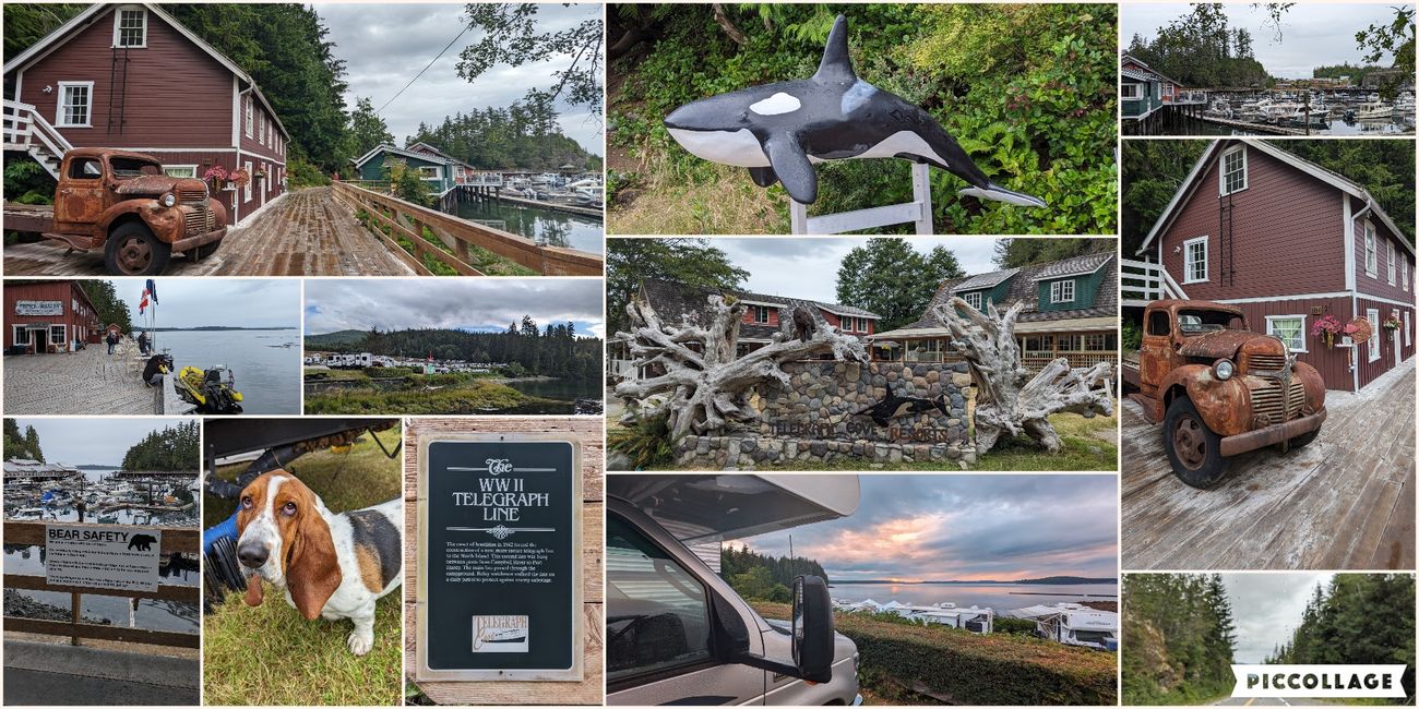 Day 11: Strathcona PP - Telegrph Cove - Alder Bay