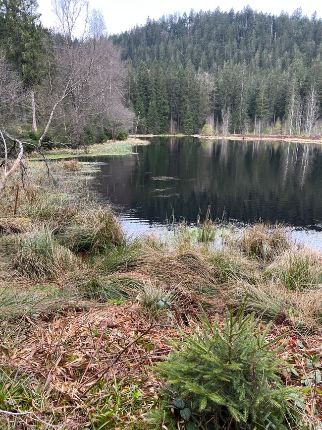 Schwarzwald-hochstrae