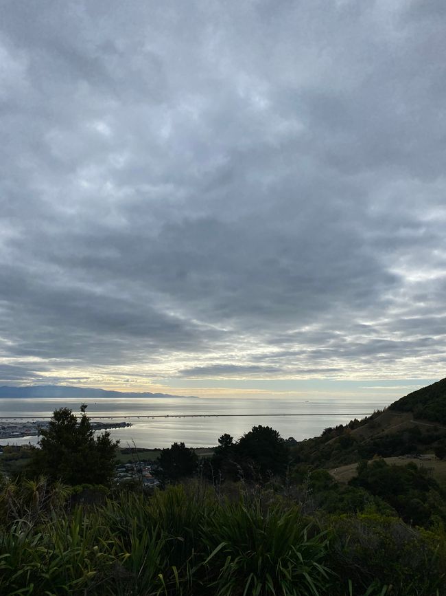 Ausblick vom Zentrum Neuseelands