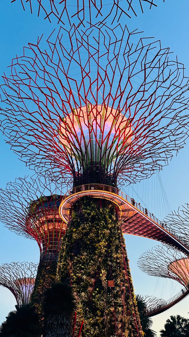 7 Días en Singapur - Parte 3