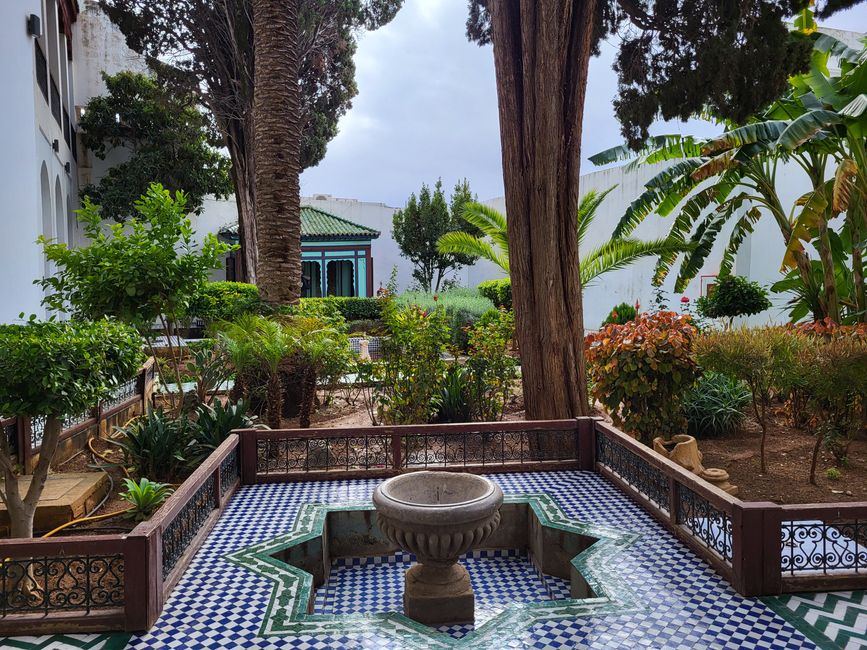 Giardino nel museo degli strumenti musicali