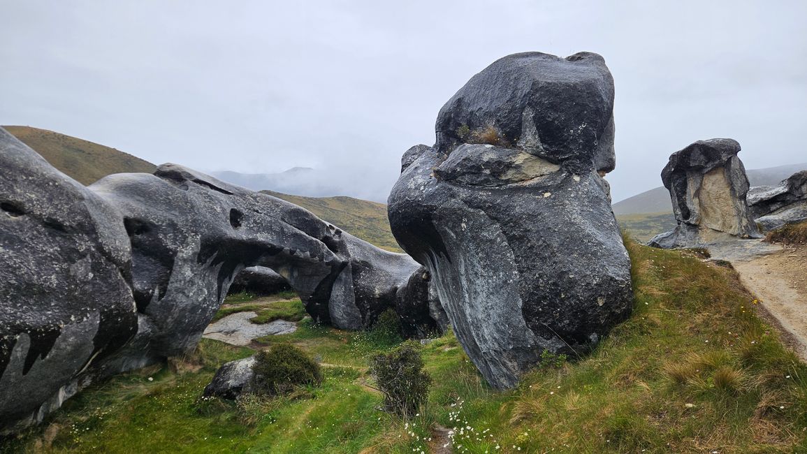 Charleston - Punakaiki - Greymouth - Arthur's Pass