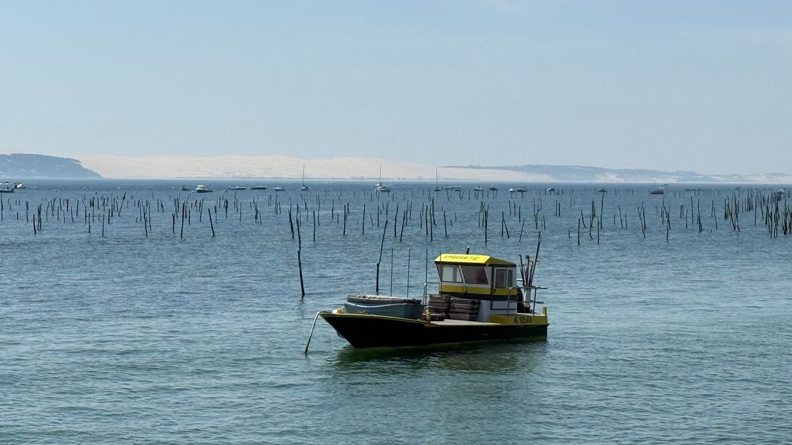 Cap Ferret