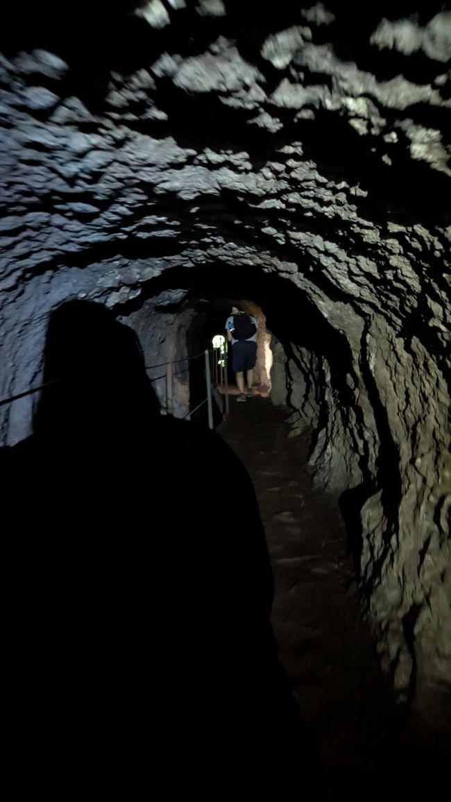 Tag 14: Levada do Caldeirão Verde & Nordküste