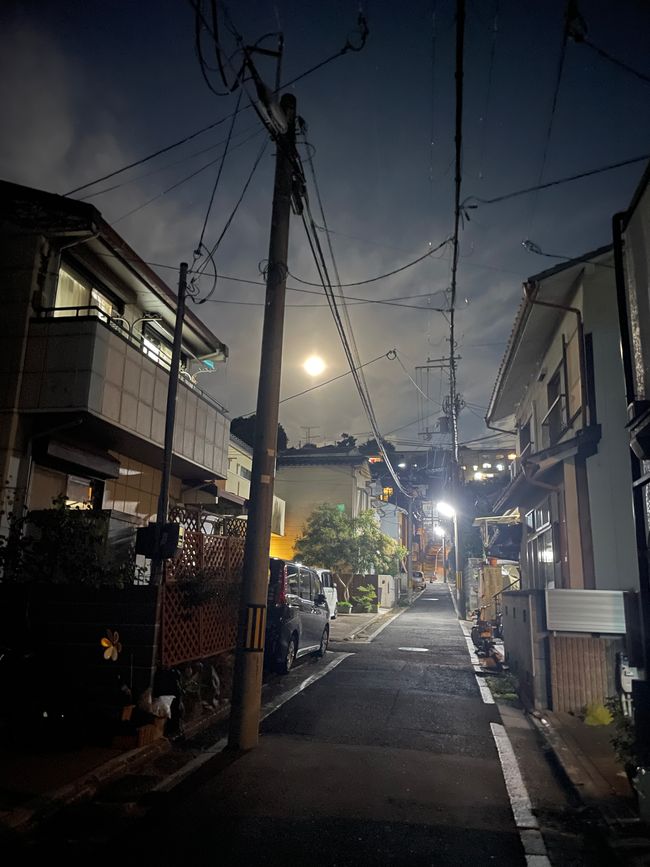 8. Chapter:
Blessed sitting through Kyoto
