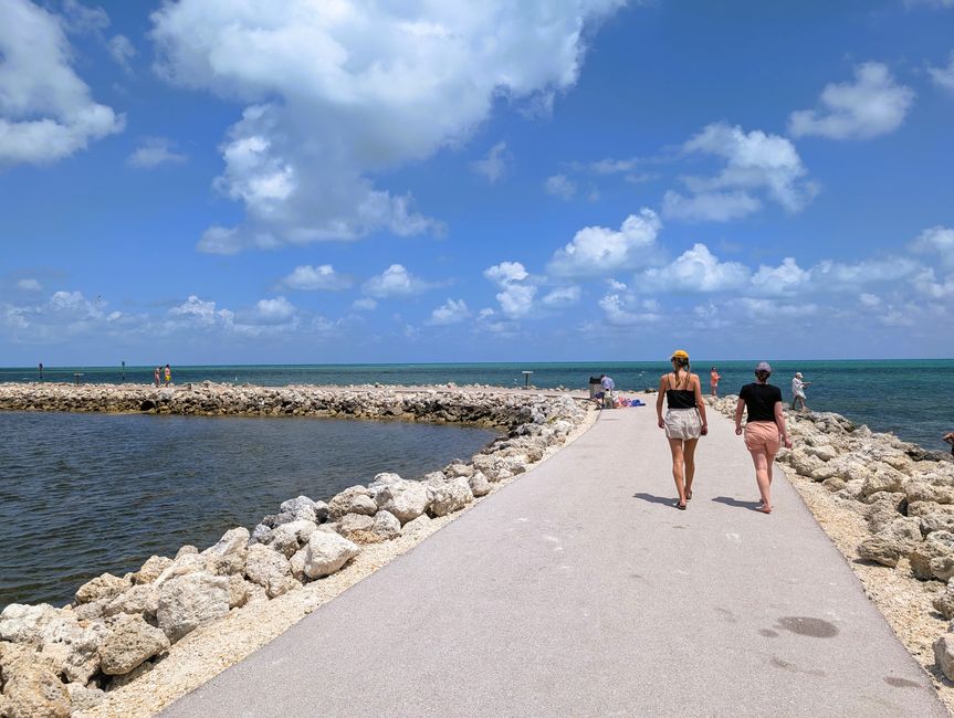 Key Largo - Harry Harris Beach