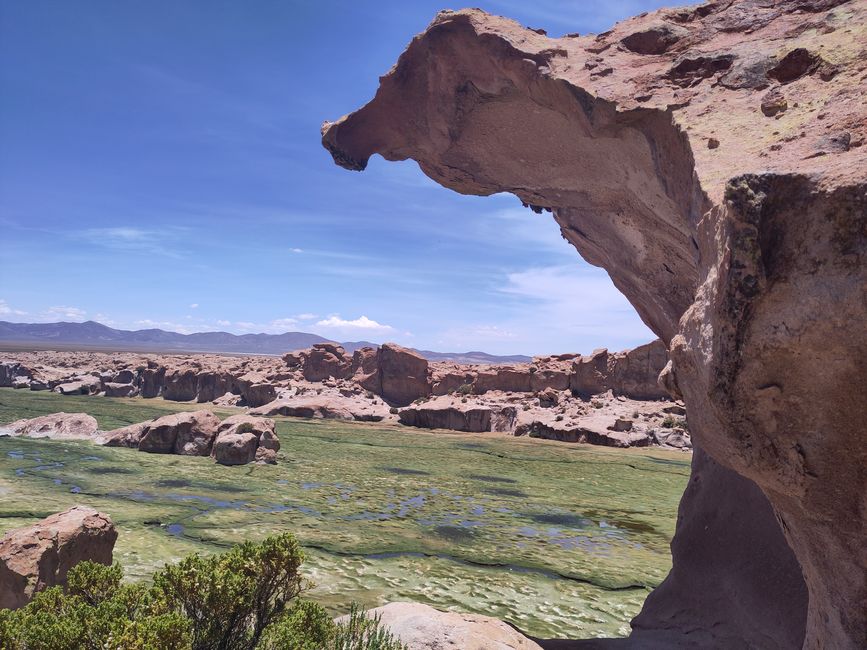 San Pedro und Co.: Wüste, Lagunen und ganz viel Salz 