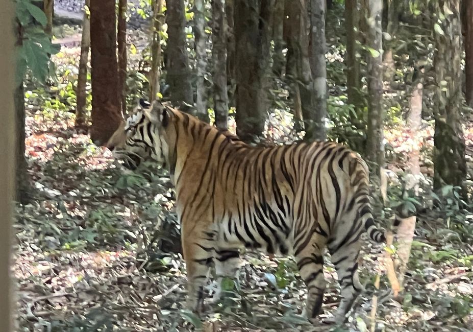 Tag 16 - Phu Quoc: Tierische Higloghts und glitzerndes Einhorn