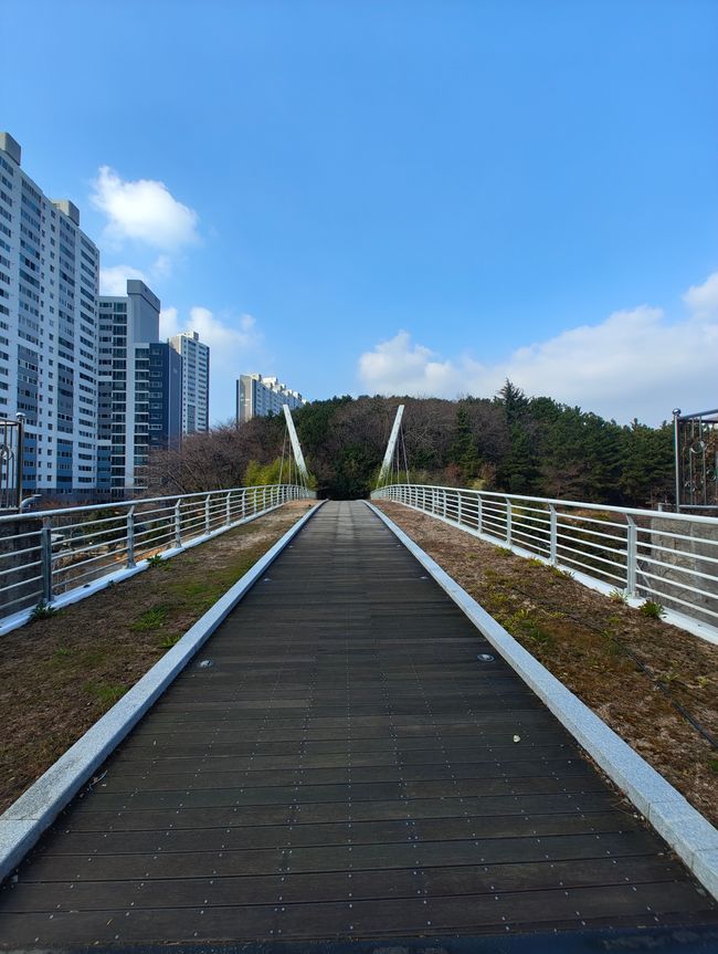 Hello, Korea — Hello, Japan