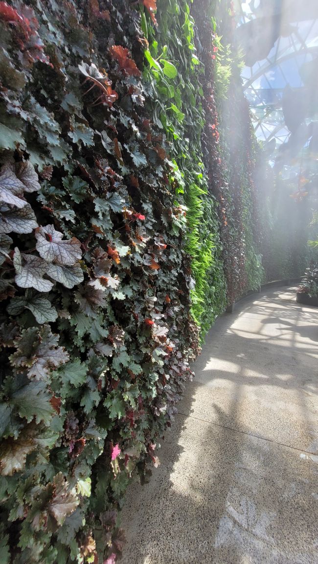 Heute königliches Programm – Royal Botanical Garden in Sydney