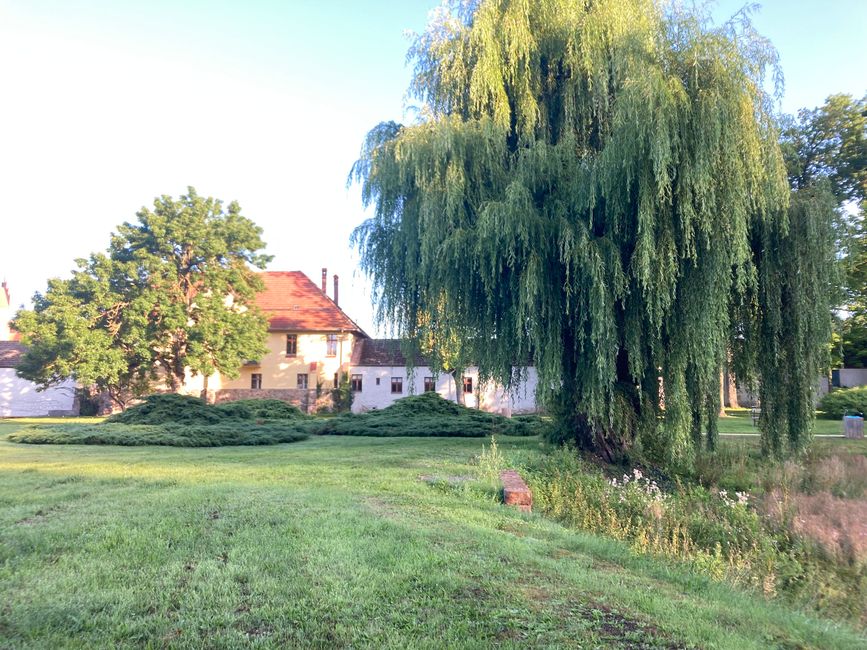 Von Liebenberg zur Mühle Tornow