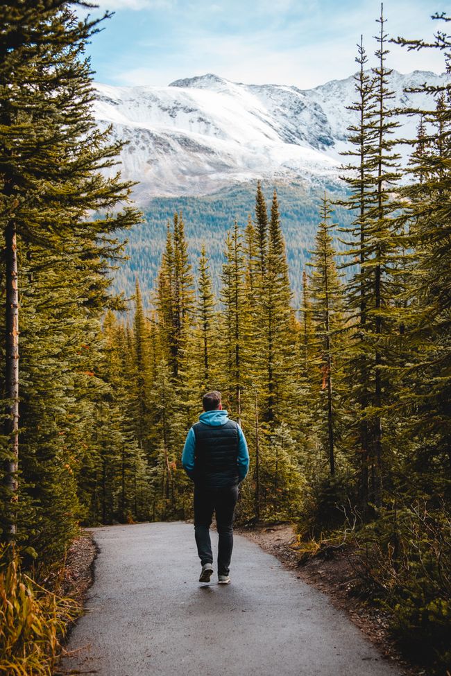 Road trip Lake Louise -> Jasper & the forest fire