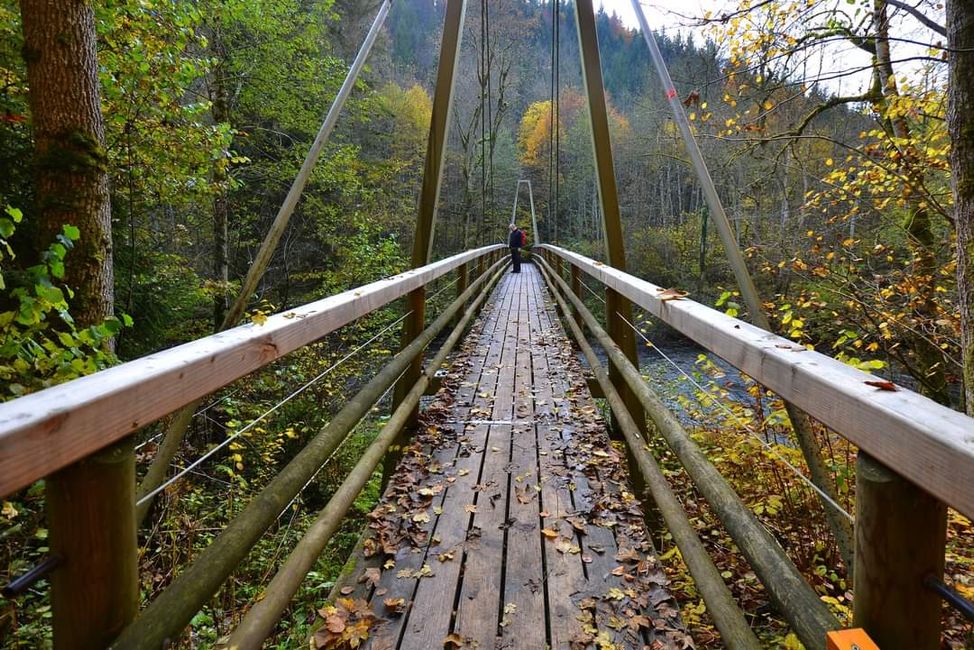 Senderismo de otoño en el Wutachschlucht: rojo, amarillo, naranja... ¡y tú en medio!