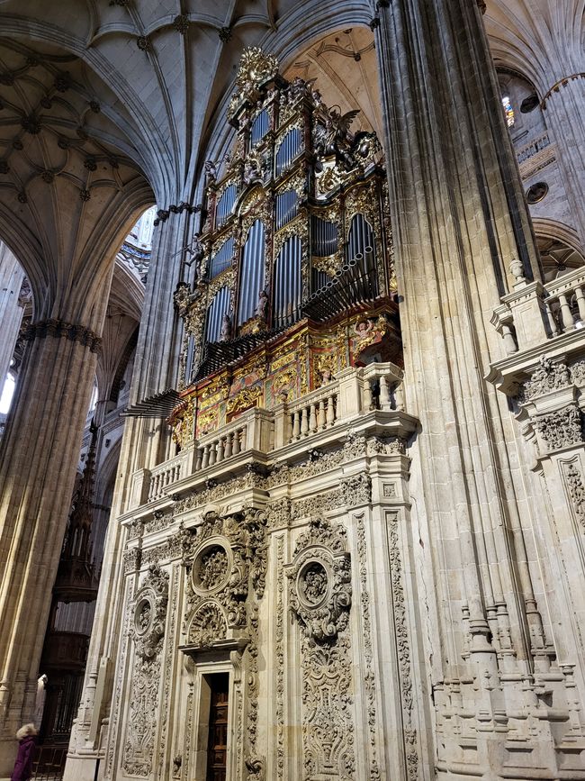 Neue Kathedrale 