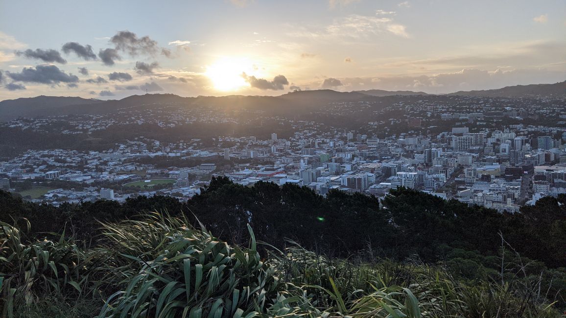 Wellington