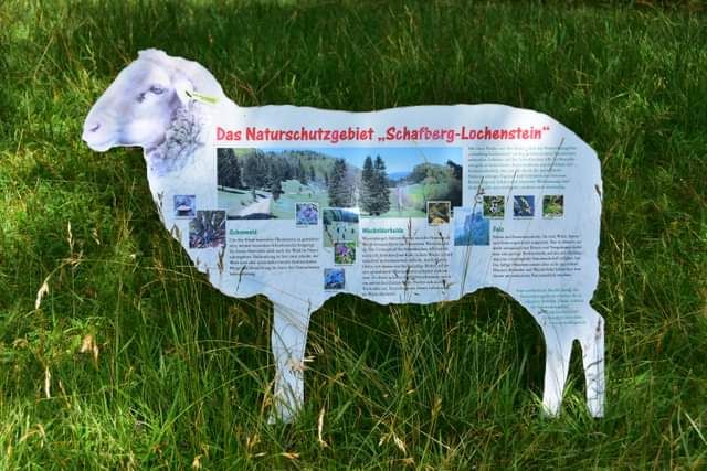 * * * Wacholderhain und Felsgesicht: eine Wanderung in der wilden Schönheit des Lochenpasses * * *