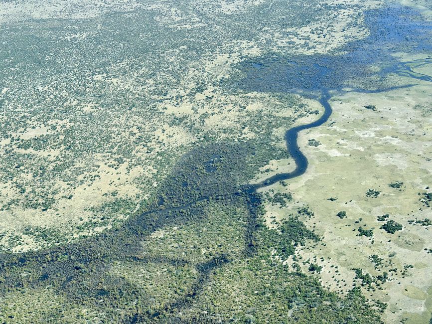 Vom Chobe zum Okavango