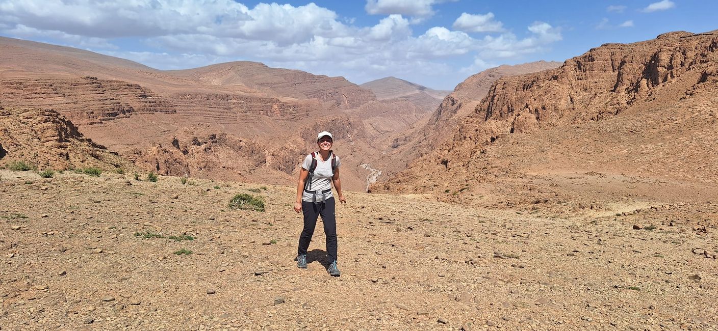 Ovejitas de un berber