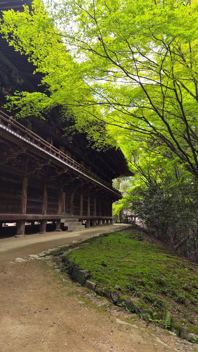 Himeji & Tagesausflug nach Bizen/Inbe