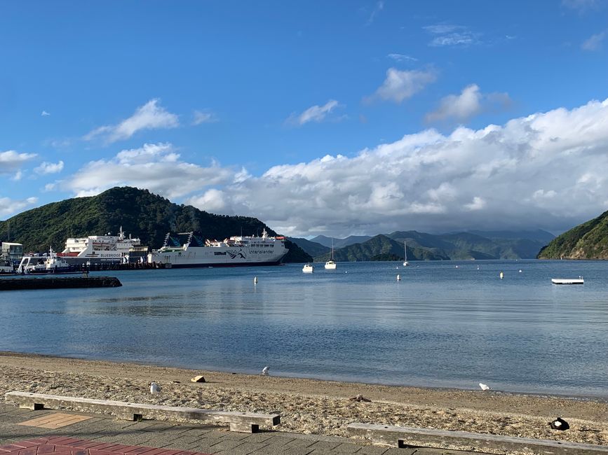 15_PICTON