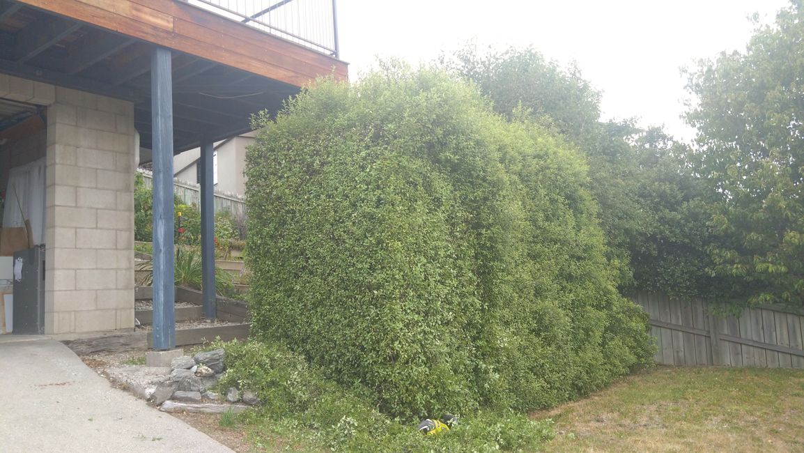 Über Wanaka zurück nach CHC