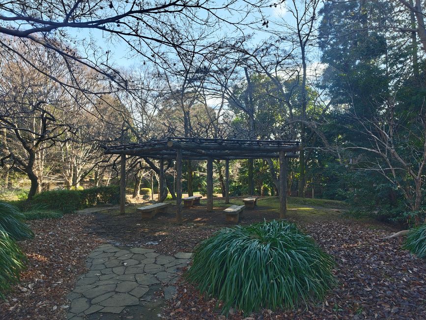 Impressionen aus dem Serigaya Park #1