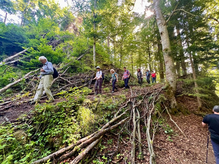 28 Wutachschlucht Pro Wolermoos