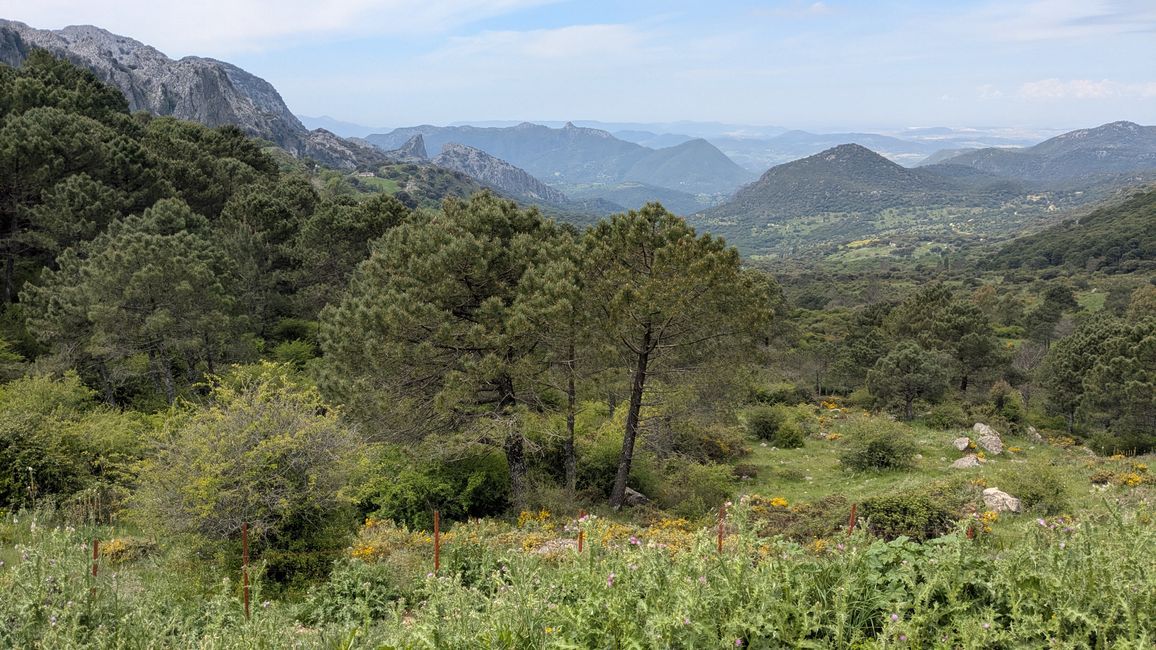 Fahrt nach Ronda