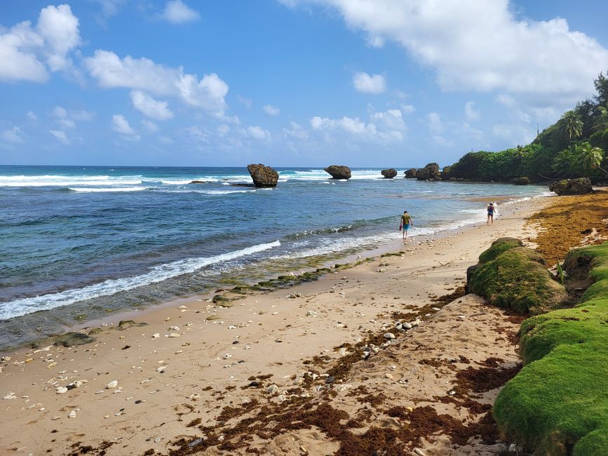 Ostküste von Barbados