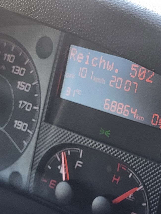 31 gradi 