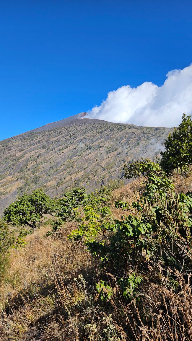 Caminata hacia el Gunung Rinjani