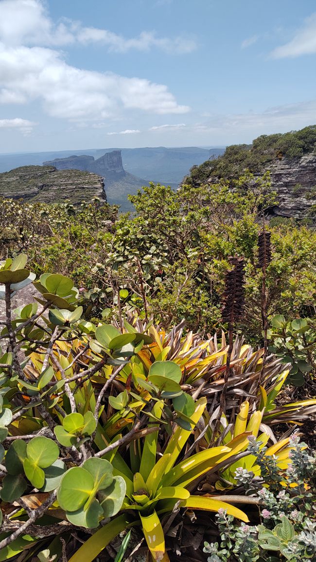 Brazil, on the way to the Diamante National Park