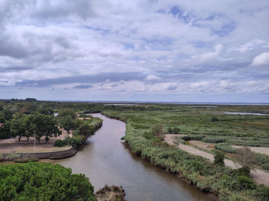 Le Teich