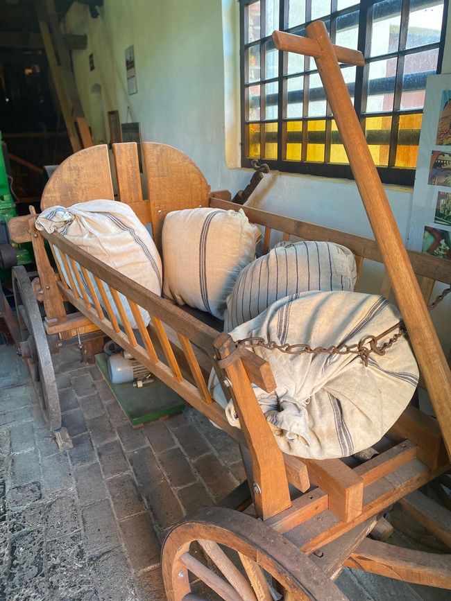 A true highlight: The linseed oil mill in Straupitz