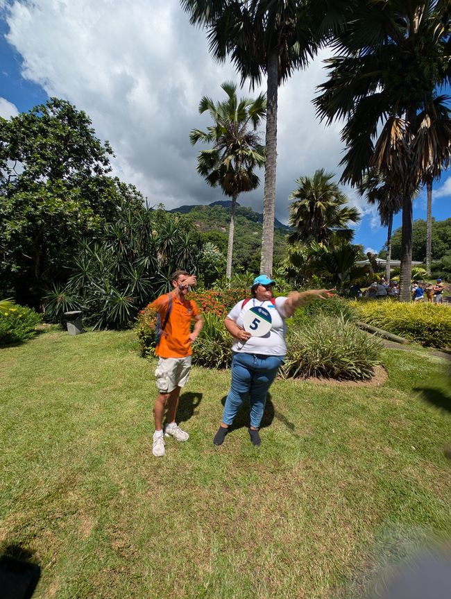 De fondo la palma de Seychelles