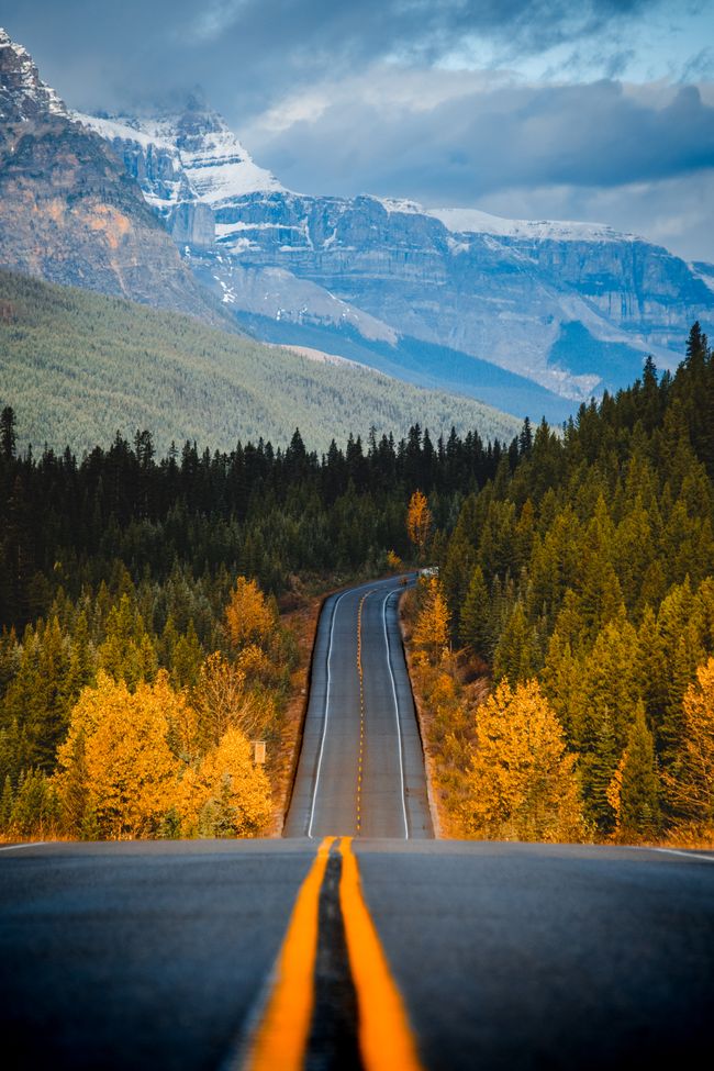 Autofahrt Lake Louise -> Jasper & de Waldbrand