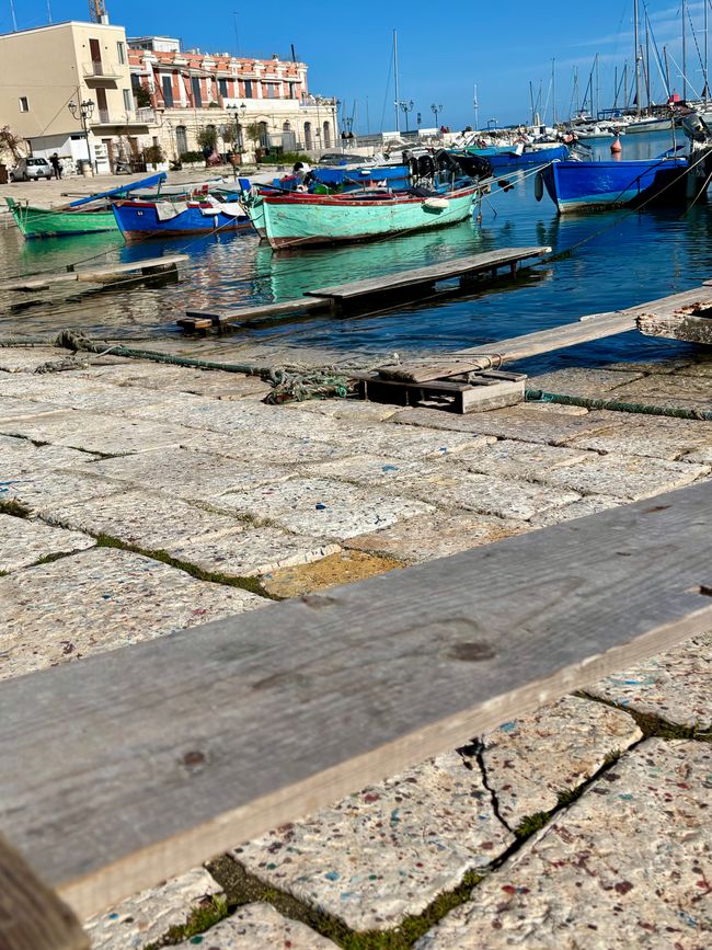 Bisceglie mit Sonne und viel Wind ☀️☀️🌬️