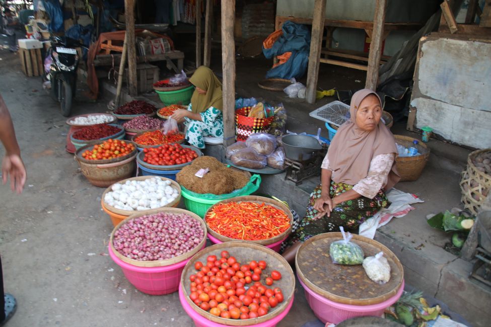 Etiqueta 16: En camino por Lombok