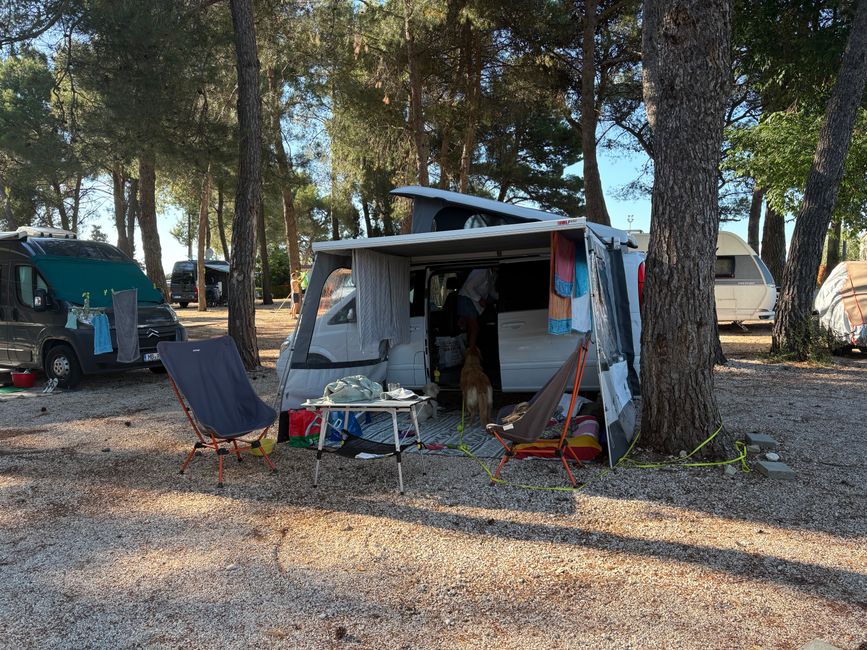 Jour de voyage vers Novigrad