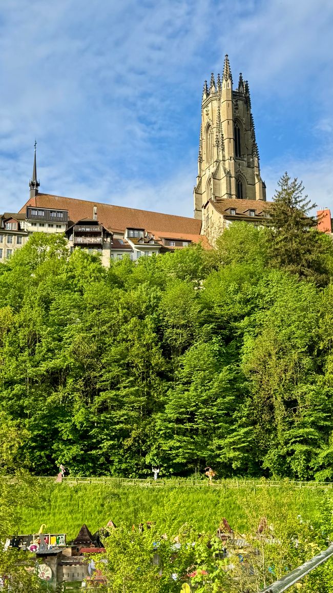 Von Freiburg nach Interlaken - Städtetour, Wings for Life & Wanderglück
