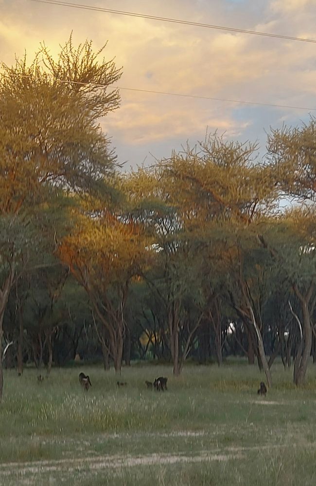 Das Licht in Namibia