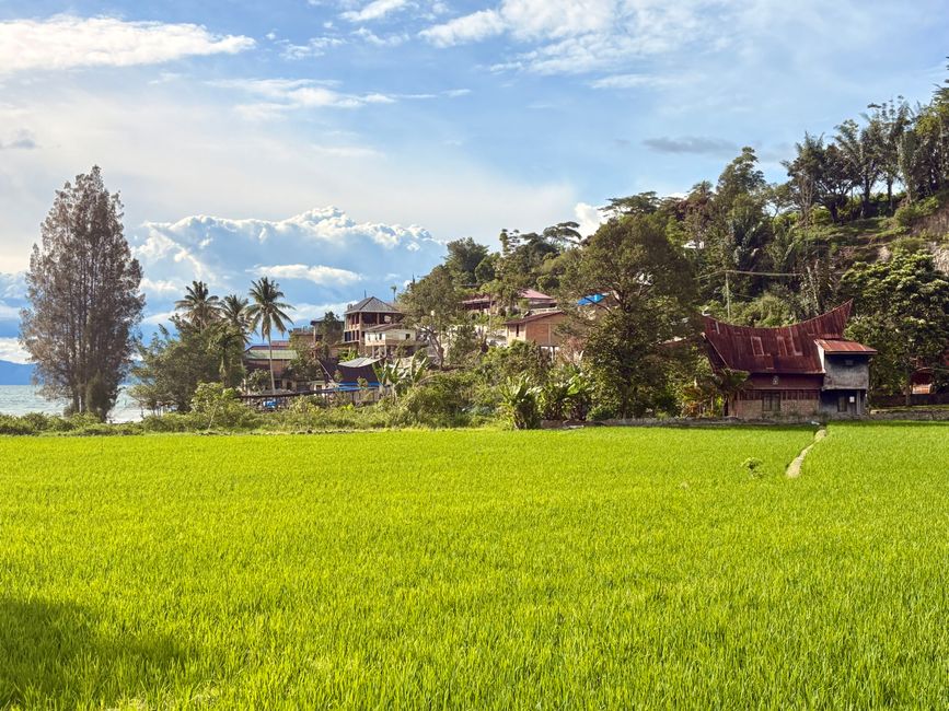 Tuktuk en el lago Toba