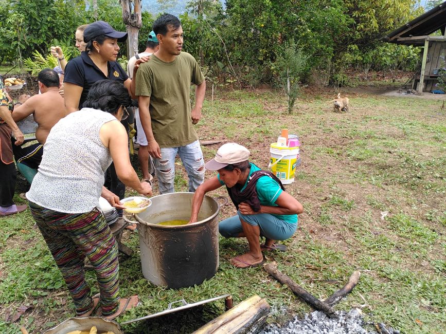 Shining beetles, green oranges, and other peculiarities: My last days in the Peruvian Selva