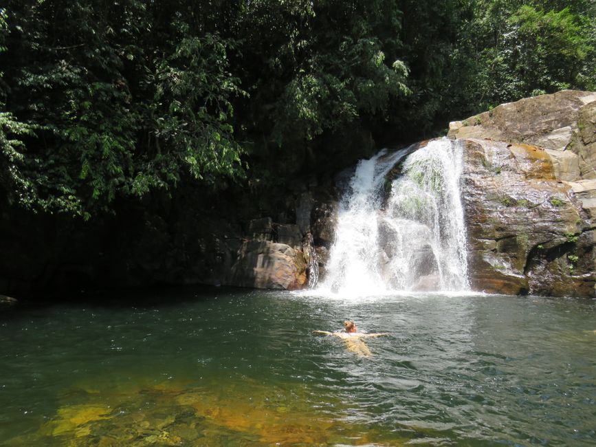 Sinharaja - l'ultima foresta pluviale dello Sri Lanka