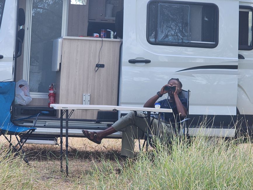 Tag 16, 10. Mai, Camooweal Billabong