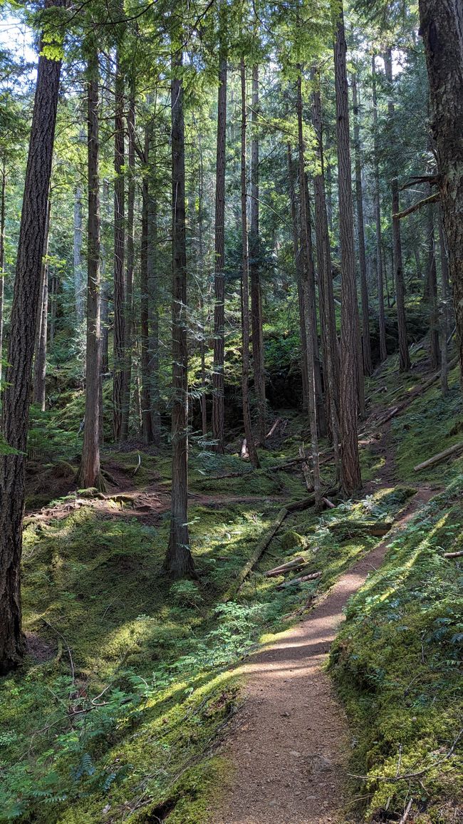 Lupin Falls Trail