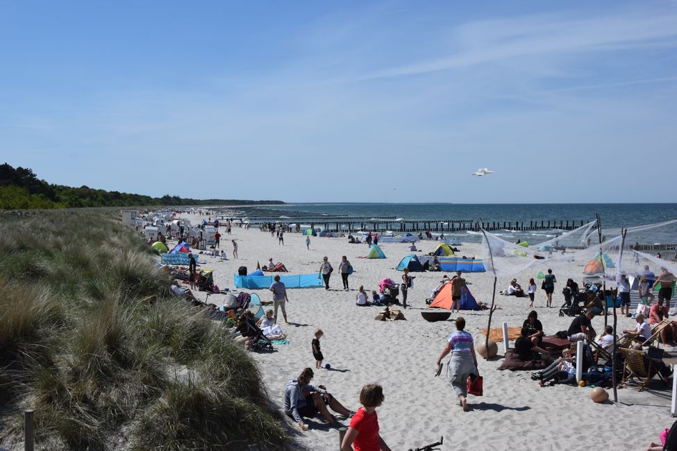 Darß und Fischland im Mai 2018