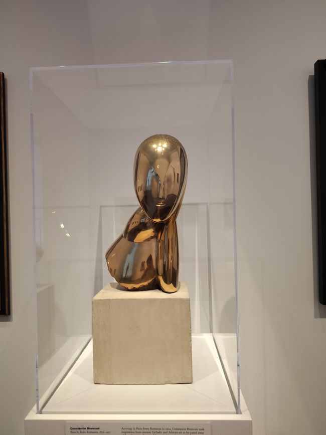 MFAH Benni's Fotos