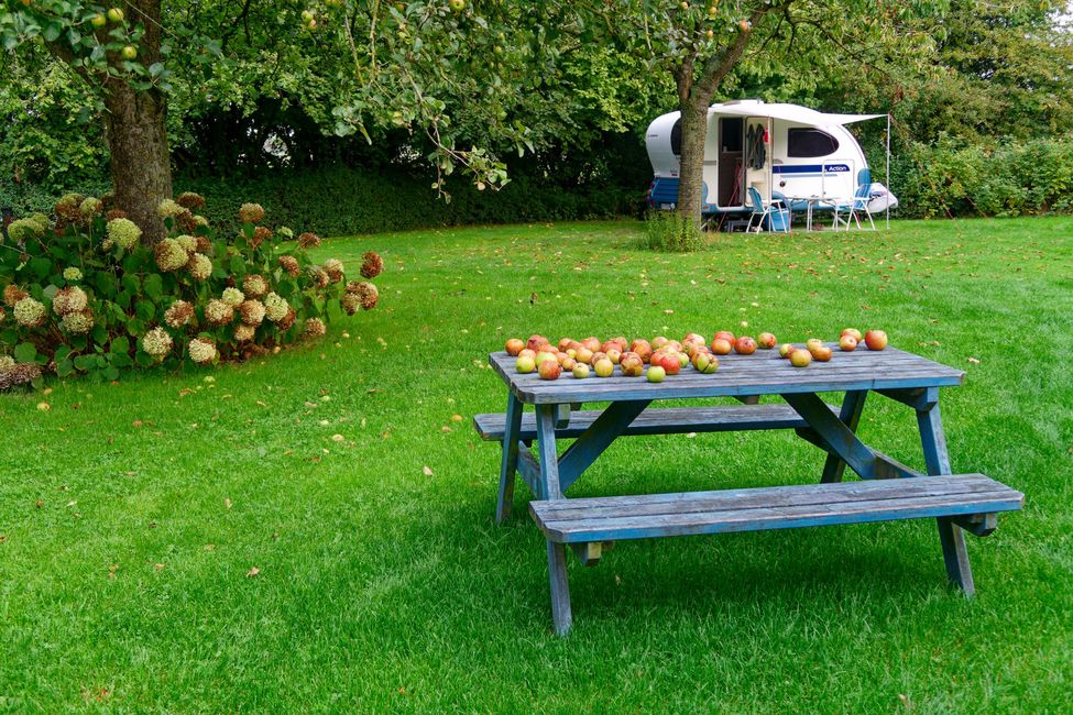 Im Paradies